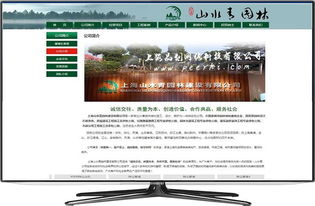 奉賢企業(yè)數(shù)字化轉(zhuǎn)型全攻略 從網(wǎng)站建設(shè)到通訊服務一站式解決方案